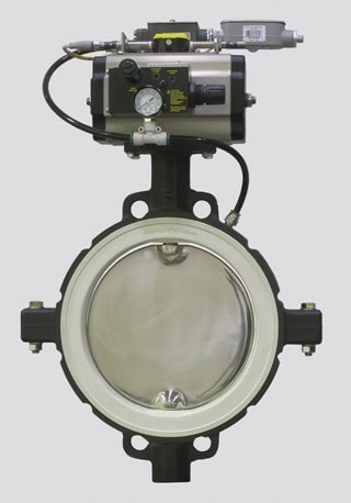 Purpose: Receiving Bin Discharge Valve Handling Various Food Powders