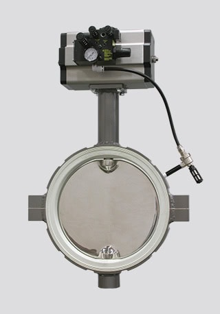 Purpose: Outlet Valve Handling Food Grade Milk Powder from a Weigh Hopper into a Bag Filling Machine