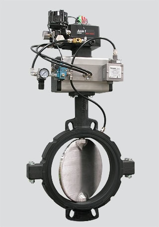 Purpose: Metering Outlet Valve Handling Calcium Carbonate from a Weigh Hopper